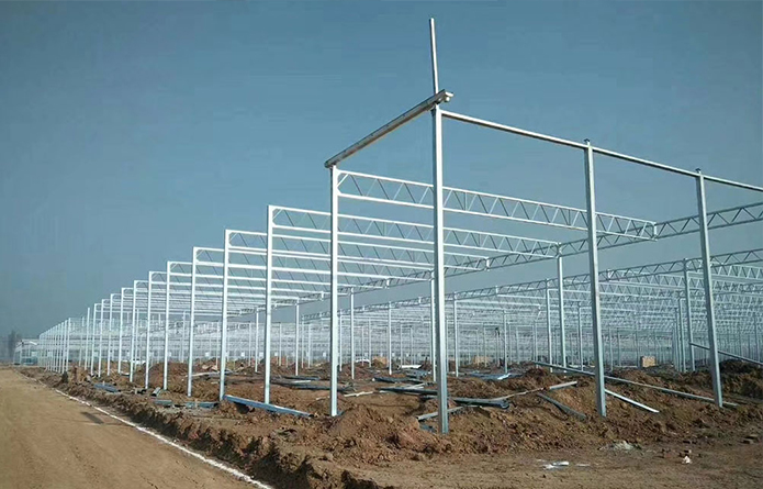 山东华商贵澳农业科技发展有限公司