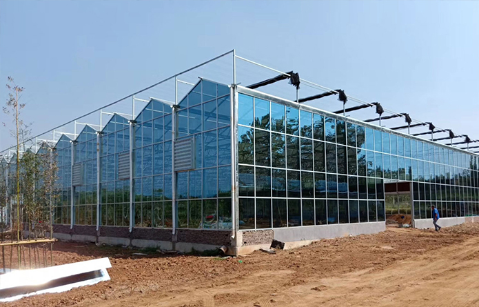 山东华商贵澳农业科技发展有限公司